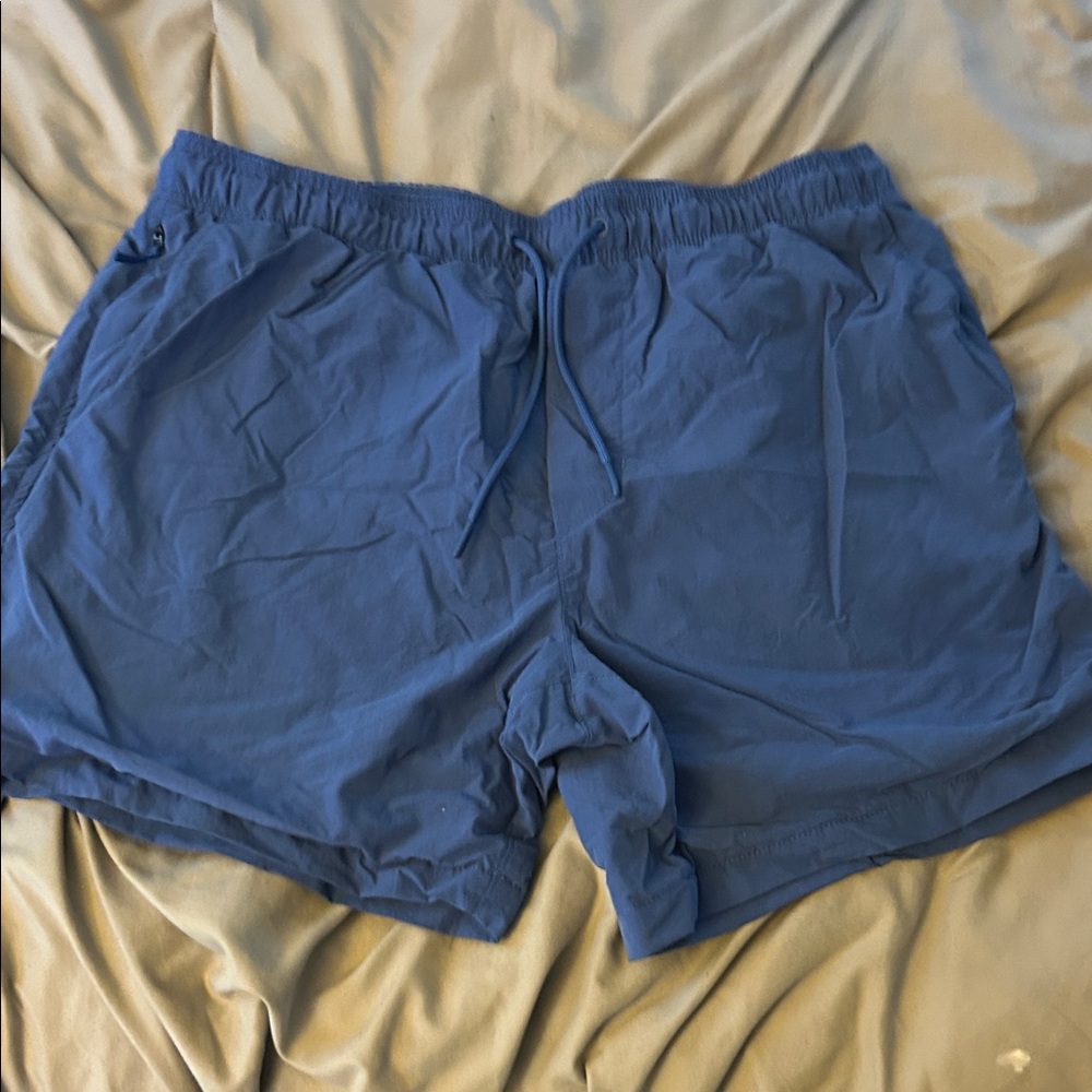 American Eagle Outfitters Blue Athletic Shorts